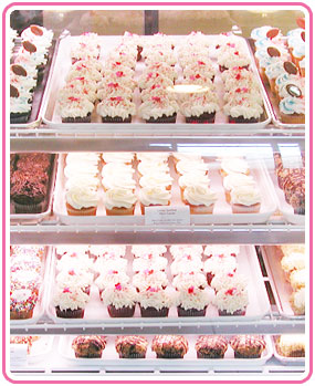 Our Cupcake Case
