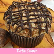 Turtle Crunch